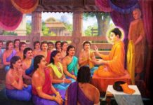 Ở đây không sầu muộn