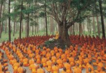 Sự thành công của một người thất bại
