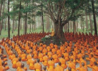 Sự thành công của một người thất bại