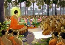 Trước khổ sau vui