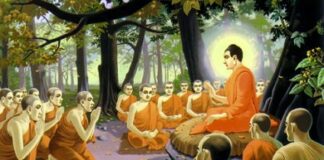 Tu pháp gì không gặp ác đời sau?