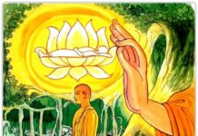 Vượt dòng sinh tử