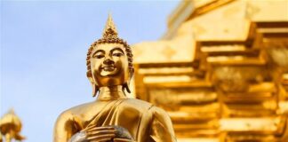 Phật dạy cách nhiếp thọ tài sản
