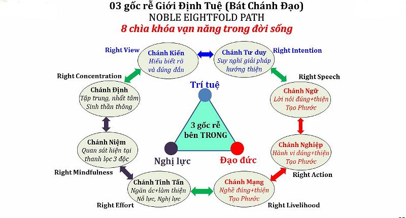 gioi dinh tue