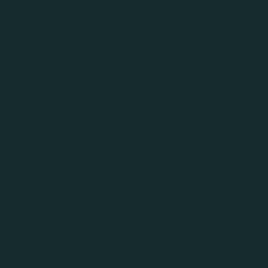 giphy giphy