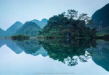 Tại sao có các tướng