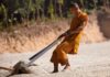 Những bài pháp thoại trong ba tháng an cư (18)