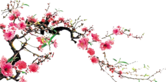 Năm mới, cúng sao giải hạn
