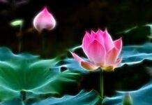 Ý Nghĩa Đời Sống