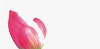 Trân trọng những gì mình đang có và chấp nhận những gì mình đã mất