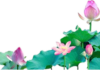 Người Chánh Thiện