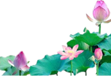 Người Chánh Thiện