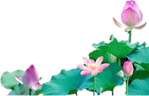 Người Chánh Thiện