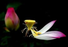 Thấy mọi thứ đang vận động để lặng yên