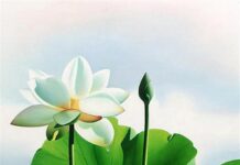 Tạo ba phước nghiệp