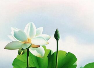 Tạo ba phước nghiệp