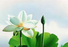 Vai trò của tánh không trong phương thức trị liệu hý luận