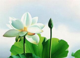 Vai trò của tánh không trong phương thức trị liệu hý luận