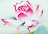 Sống An Vui Giữa Đời Phiền Luỵ