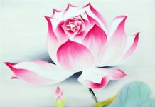 Sống An Vui Giữa Đời Phiền Luỵ