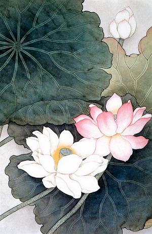 hoa sen tranh ve 4