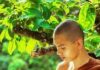 Tu Phật học Phật