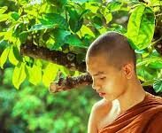 Tu Phật học Phật