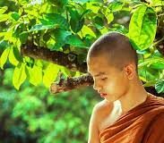 Tu Phật học Phật