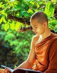 Tu Phật học Phật