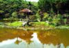 Những chuyện nho nhỏ
