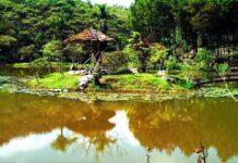 Những chuyện nho nhỏ