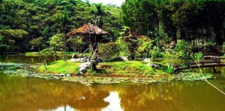 Những chuyện nho nhỏ