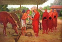 Tỉnh giác với lợi dưỡng