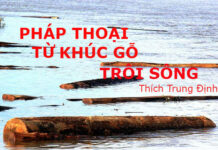 Pháp thoại từ khúc gỗ trôi sông