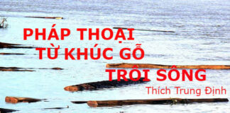 Pháp thoại từ khúc gỗ trôi sông