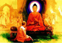 Tâm không động, không sầu