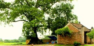Lược sử các tôn giáo ở làng Phương Lang xã Hải Ba