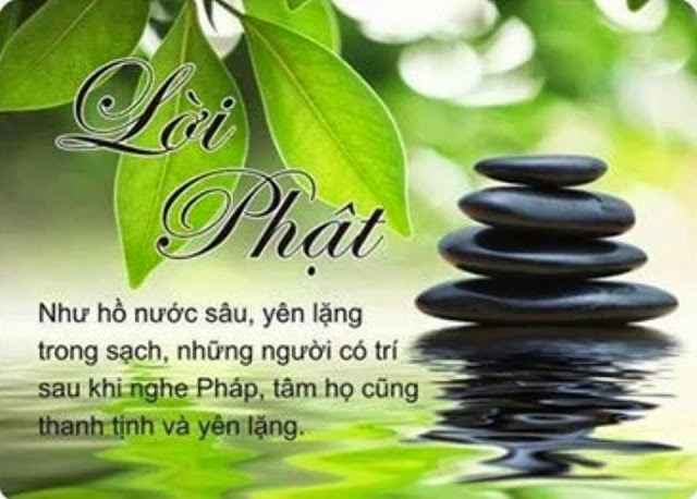 loi_phat