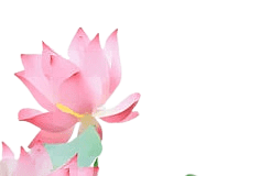 Yếu Tố Chính Tạo Nên Khổ Đau Và Hạnh Phúc