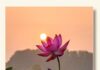 Xin Nói Rằng Không Biết