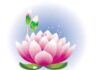 Ngắm nhìn tĩnh tại