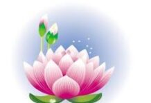 Ngắm nhìn tĩnh tại