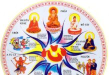 Thế nào là luân hồi?