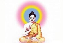 Thấy Pháp Là Thấy Phật