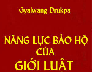 Năng lực bảo hộ của giới luật