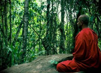 Pháp giúp Bồ-tát tại gia thành tựu Bồ-đề vô thượng