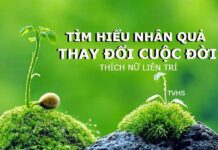 Thấu hiểu nhân quả, thay đổi cuộc đời