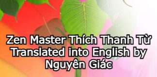 Nhặt Lá Bồ Đề Tập 2 | Picking Up Bodhi Leaves Volume 2 (Song ngữ Vietnamese-English Ebook PDF)