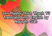 Nhặt Lá Bồ Đề Tập 3 | Picking Up Bodhi Leaves Volume 3 (Song ngữ Vietnamese-English Ebook PDF)