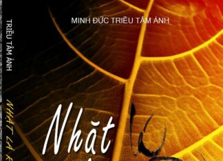 Nhặt lá rừng xưa